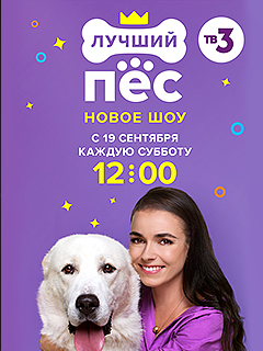 «Лучший пес» на ТВ3 11 выпуск