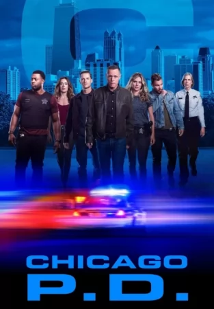 Полиция Чикаго 1-11 сезон